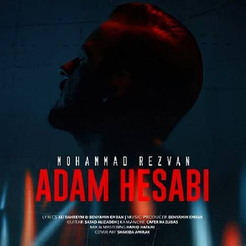 محمد رضوان آدم حسابی